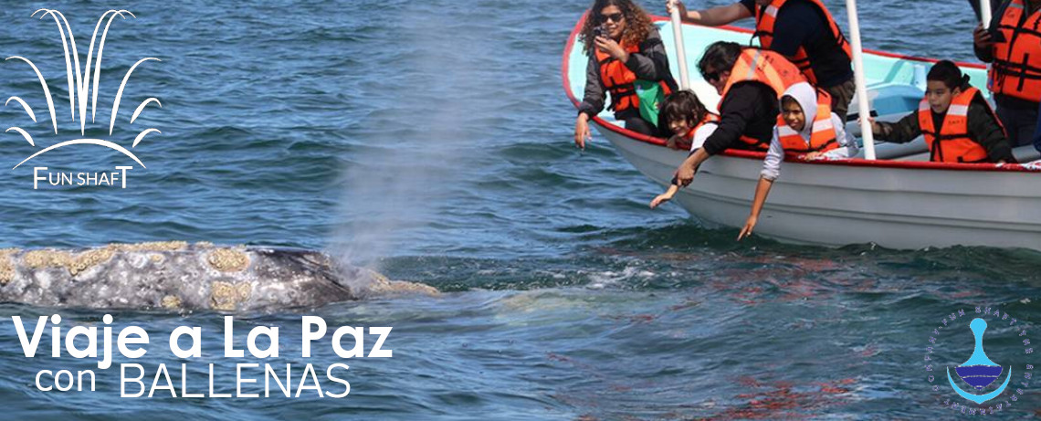 Foto de viaje a La Paz, lancha avistando Ballenas  - Funshaft Travel